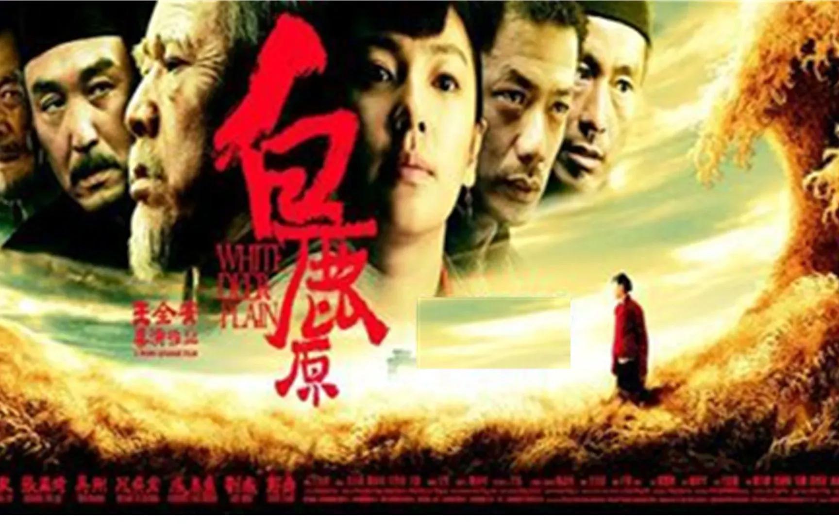 为什么陕北和陕南的方言不一样 (陕北陕南话对比)