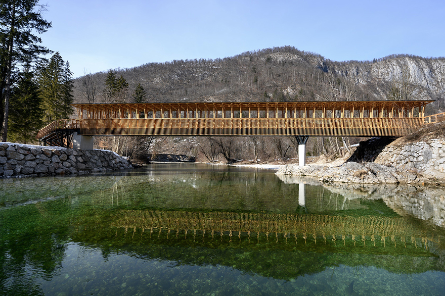 typology涓枃,typology