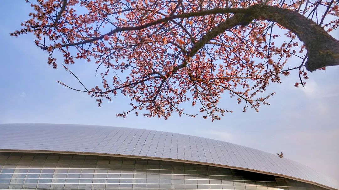 雨花科技馆门票团购,南京雨花科技馆外形