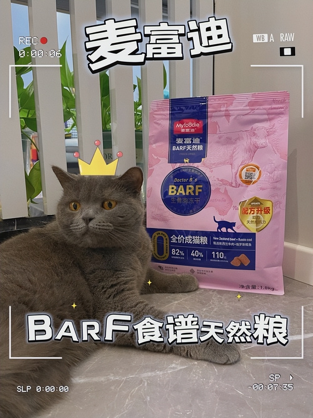 猫吃猫草后需要吐几天,猫咪猫草吃多了会嗜睡吗