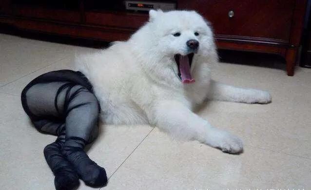 三买手机，我选择了闲鱼，认识闲鱼，我学会了在上面淘宝