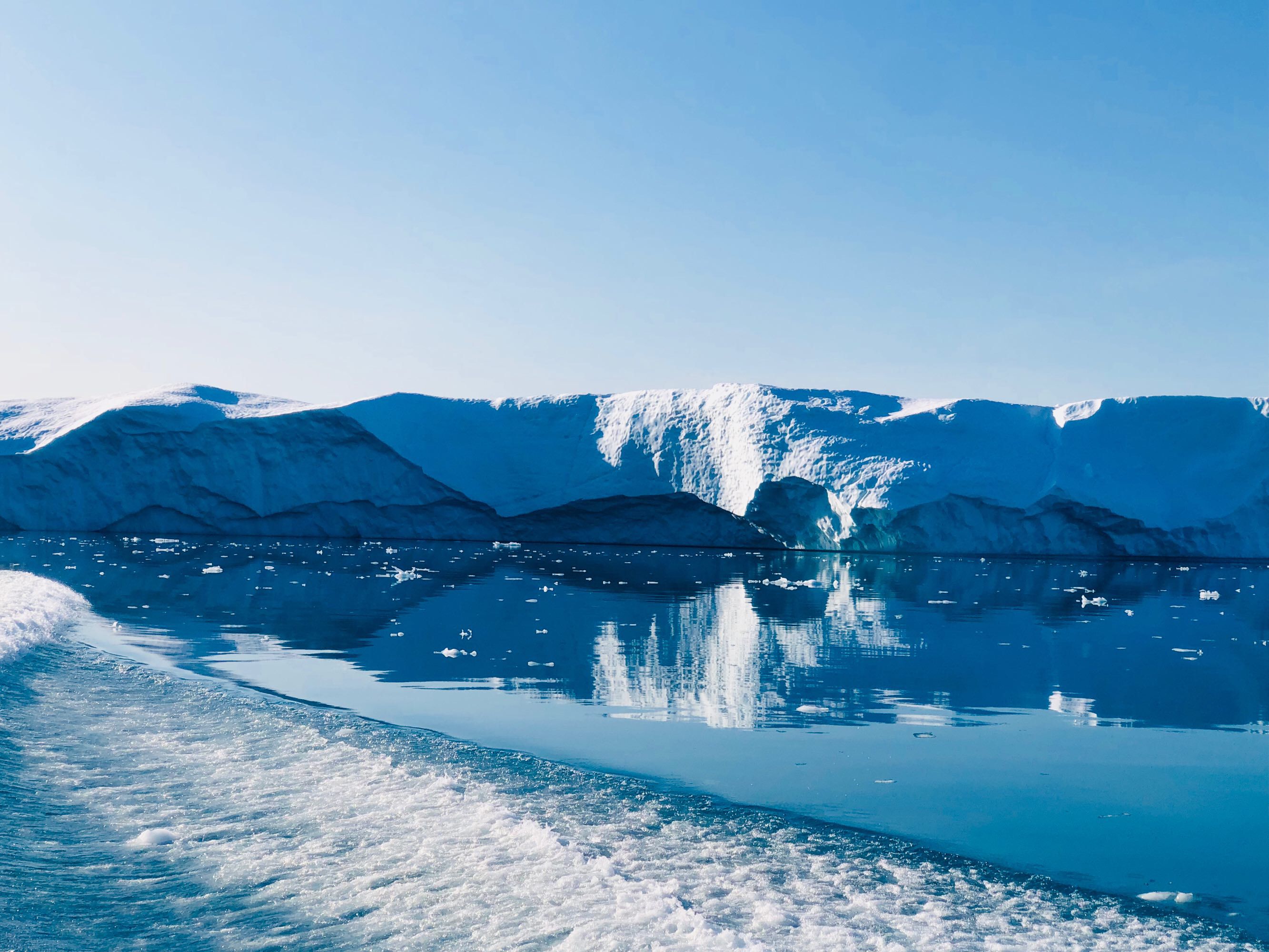 南极发现远古病毒人类如何应对,北极新发现了远古病毒吗
