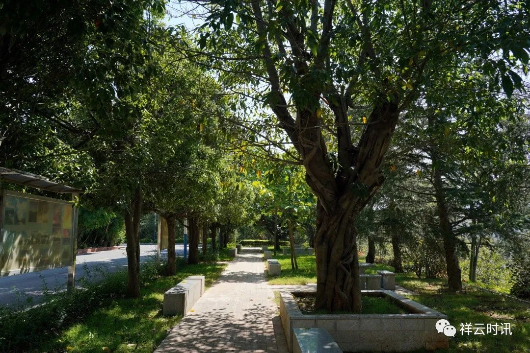 传承红色基因争做优秀教育工作者,传承红色基因弘扬劳模精神