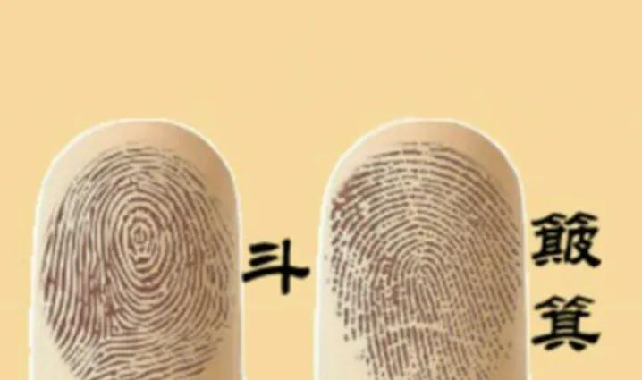 指纹为什么会有斗纹和簸箕纹,历史上指纹是十个斗和簸箕纹的人