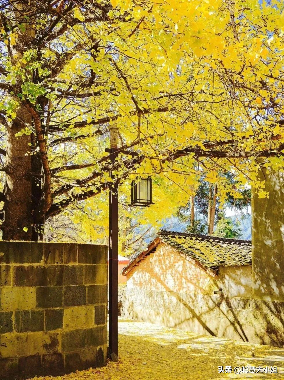 云南，80%年轻人最爱的度假圣地