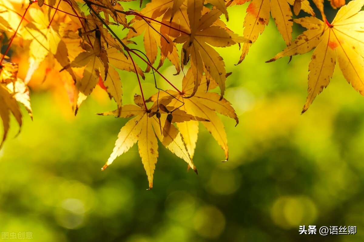 随笔美好的一瞬间,随笔时光匆匆岁月无痕