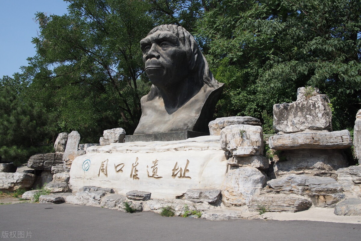 山顶洞人在世界上的地位,历史山顶洞人的样貌特征