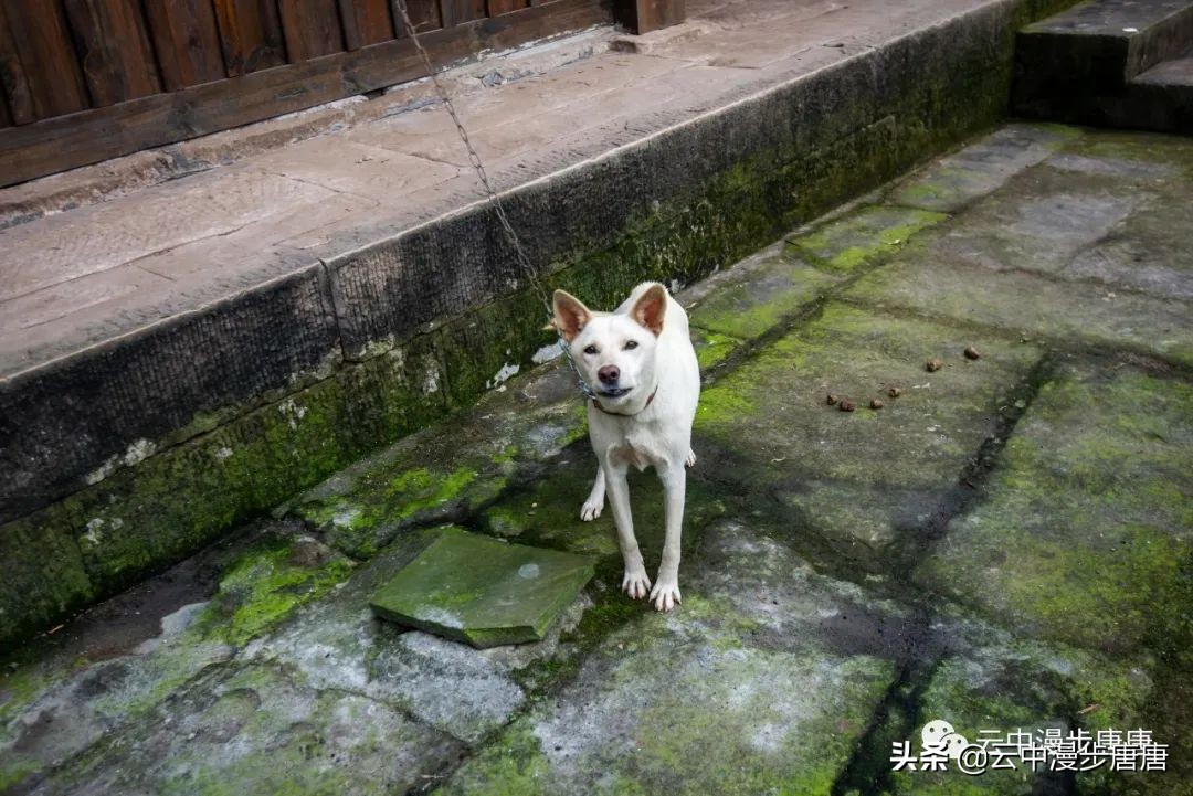 岳池旅游景点大全推荐,行走的美景