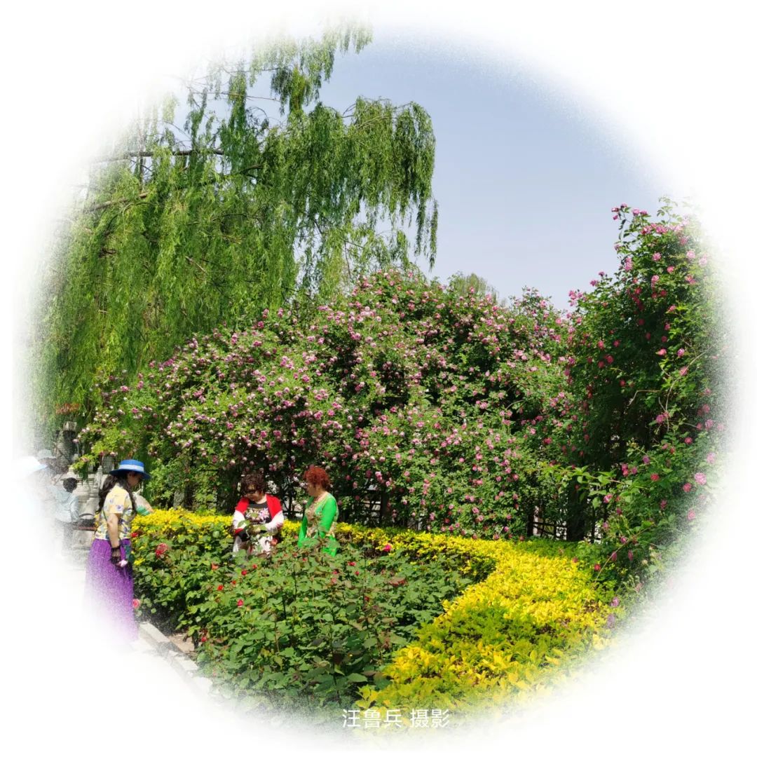 足不出沪也体会假期的快乐,足不出门也能享受大自然的美