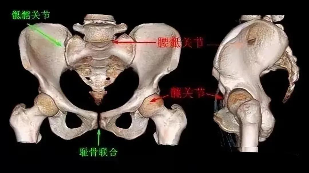 站桩开前胯还是开后胯,站桩如何开后胯