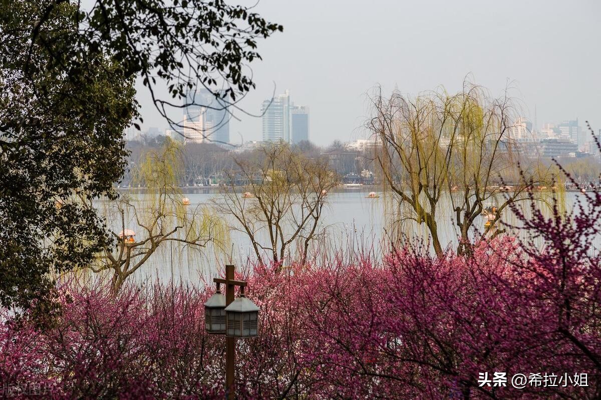 去杭州旅游必去哪些景点,杭州旅游的十大必去景点推荐