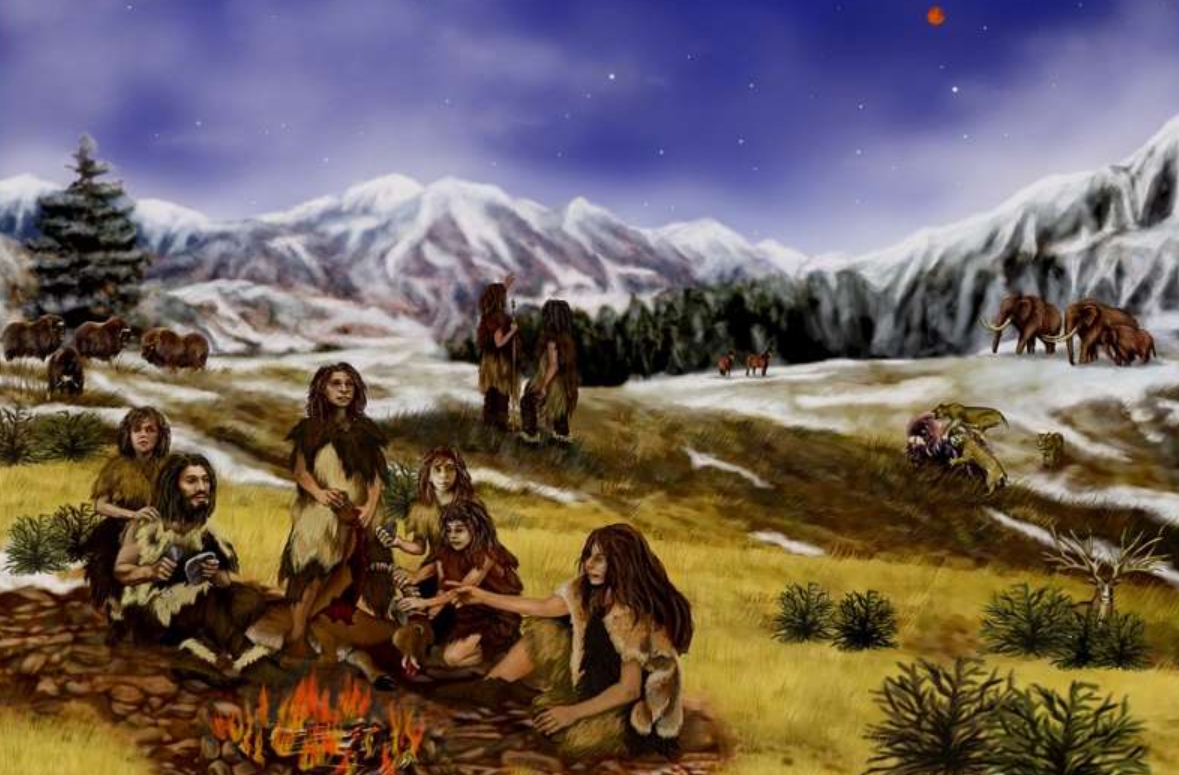 人类的生殖骨为什么退化了,人类没有尾椎骨会怎样