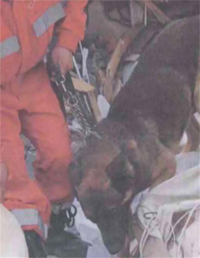 汶川地震搜救战士,汶川地震连续搜救十天十夜