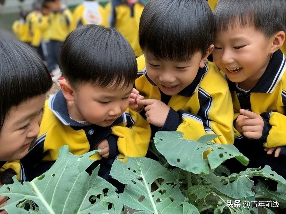 佛山市禅城区实验幼儿园,童心同济扬帆未来