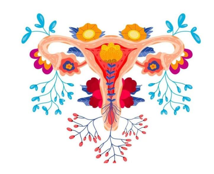 你知道女性的阴道有多长吗？或许和你所想，完全不同！