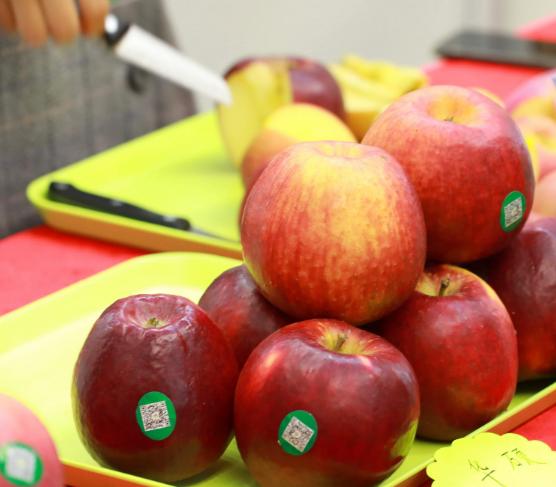 姚女士淘宝账号被封,杭州姚女士的事件后续