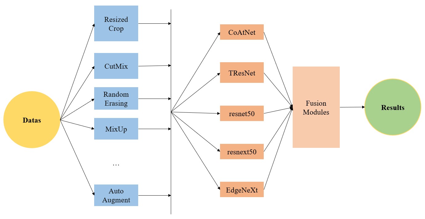 喜报学子斩获省第一名,喜报学生获奖