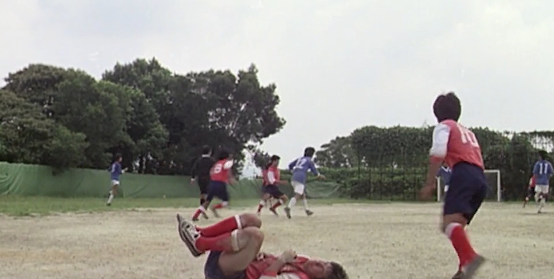 赶鸭子的小伙子,赶鸭的小伙