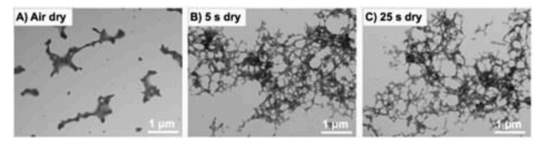 环糊精聚合物的自组装,聚合物胶体的自组装