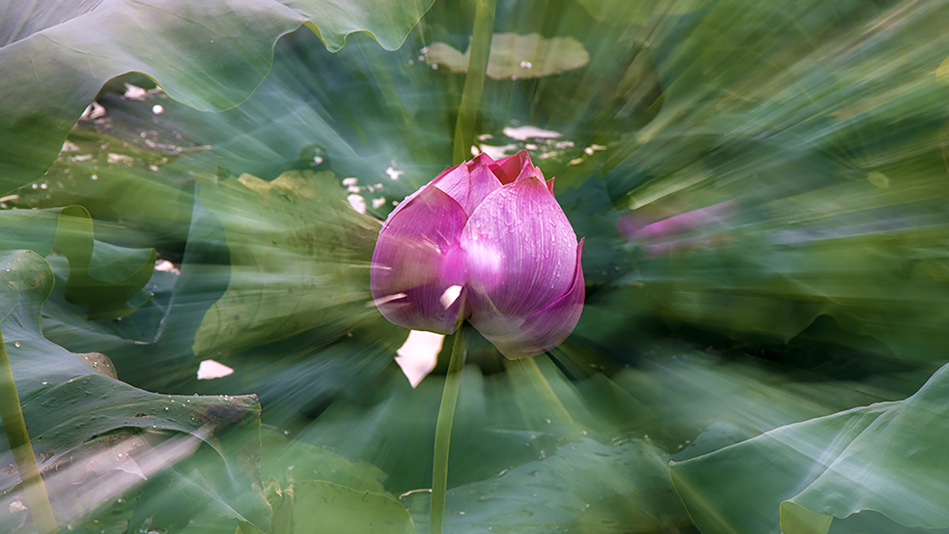 延时视频速度太快是什么原因,视频加速与移动延时区别