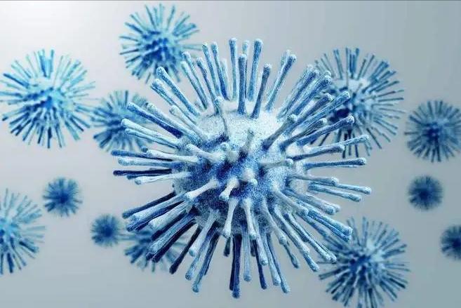 弯曲杆菌在什么地方有,弯曲杆菌有什么用