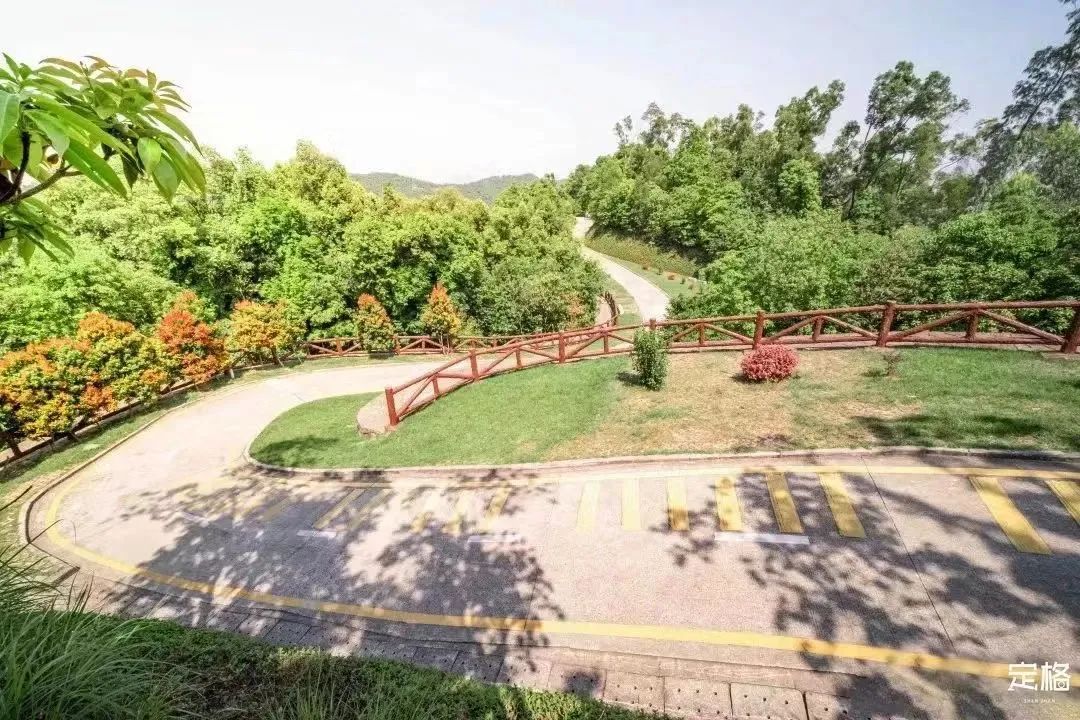 深圳九条最美绿道图片,深圳这10条绿道你去过没