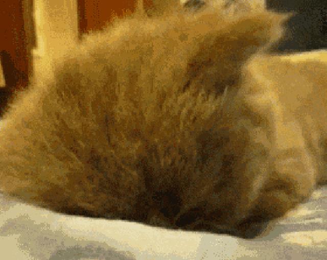 戴口罩不仅遮丑还不用化妆,戴口罩化妆不花