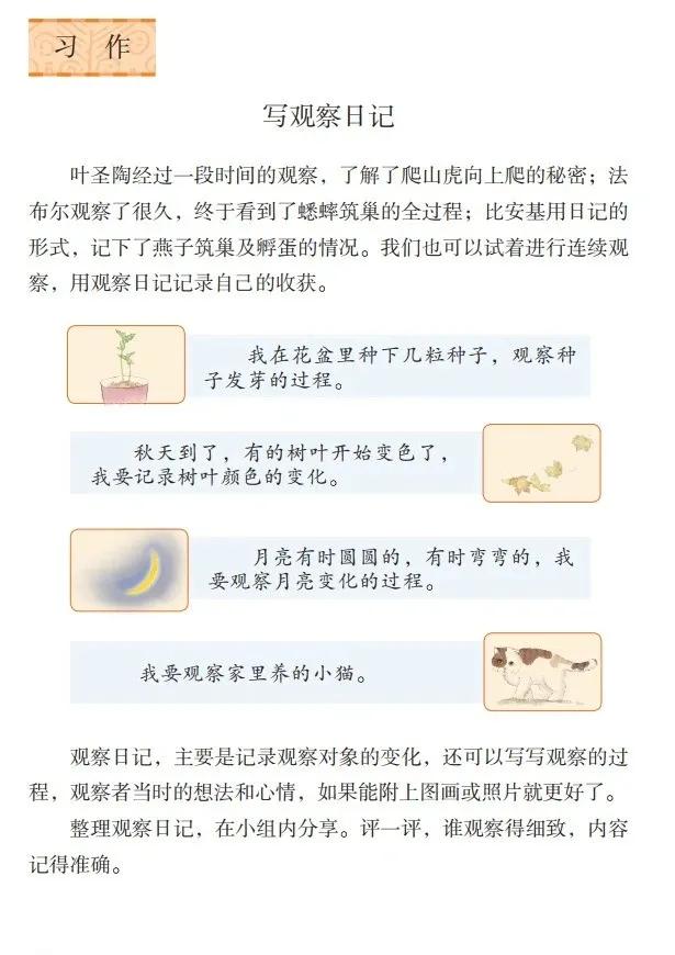 人教版小学语文（四年级上册）课本电子版暑假预习快收藏