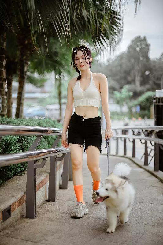 宠物基础服务包括什么服务,宠物服务包括哪些内容呢