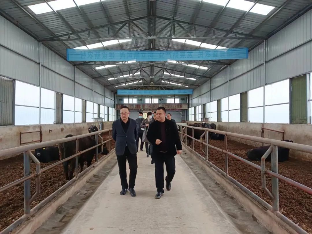 市财政局市农业农村局联合工作组调研庆城县埃克森牧业有限公司和牧养殖基地运营情况