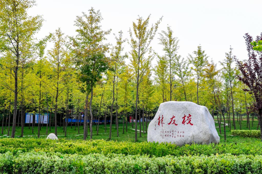 西安财经大学最好的专业是哪些,西安财经大学哪个专业比较好