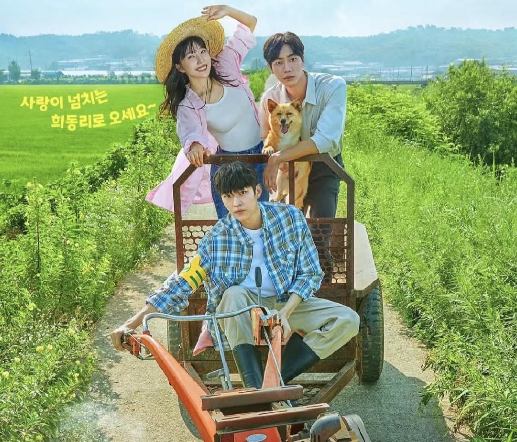 7月韩剧指南看看你最想看哪部,韩剧抢先知哪一部最好看