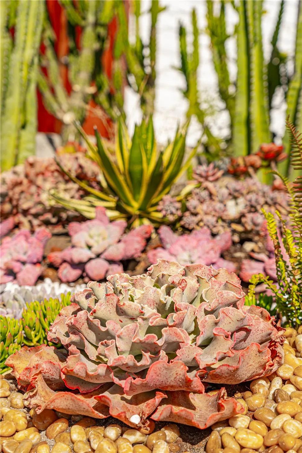 带你去双廊,住在浪漫的双廊洱海边看风景