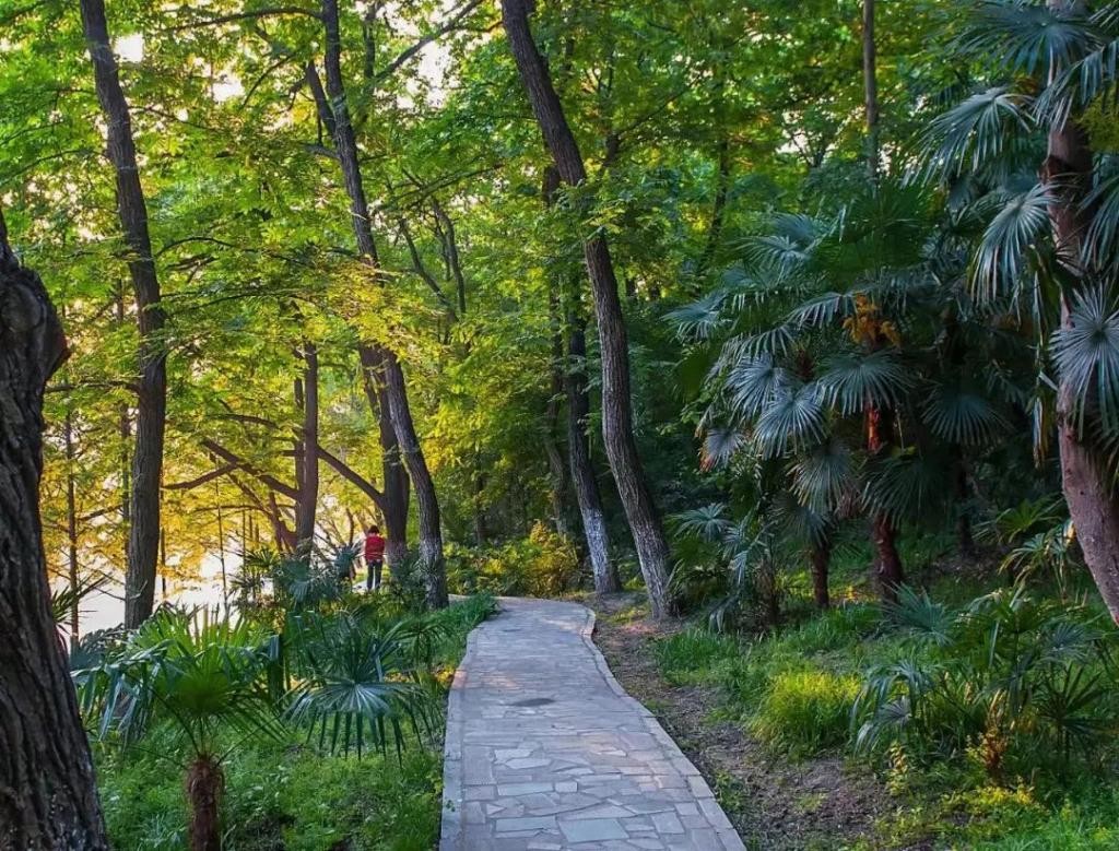 合肥夜爬蜀山攻略,合肥蜀山夜爬路线