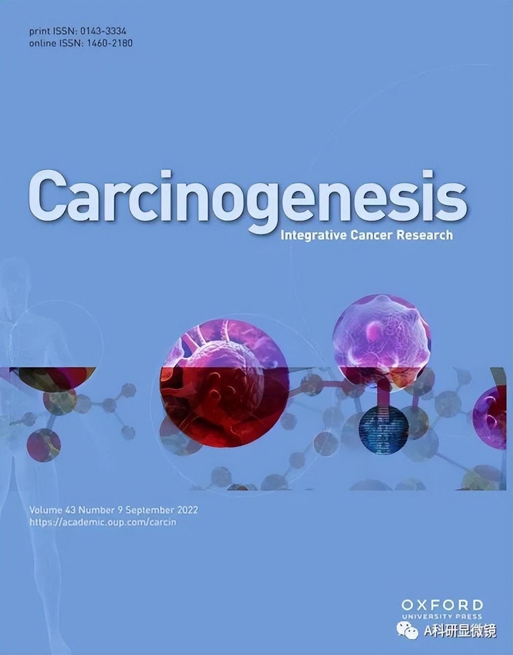 肿瘤学sci杂志排名,肿瘤学期刊推荐