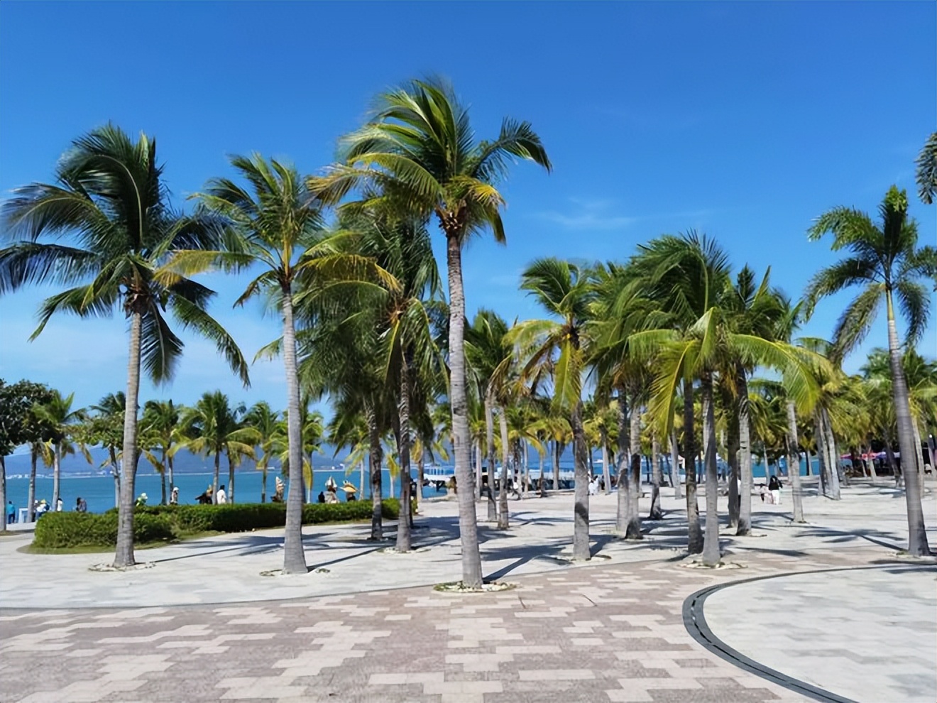 阳康以后多久可以去旅游,阳康以后能出去旅游吗