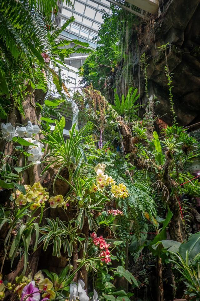 广州白云山风景区出现蛇,广州哪个景区好多蛇