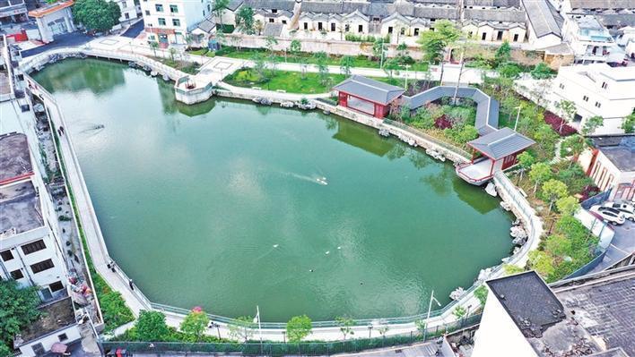 深圳市龙华文化发展,深圳龙华观澜发展