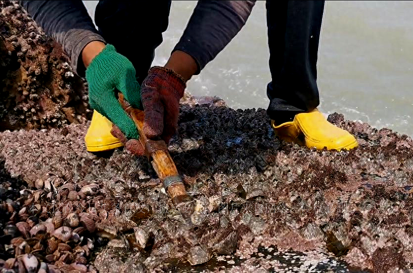 缇庡浗澶勭悊钘ゅ６,缇庡浗娴峰啗钘ゅ６