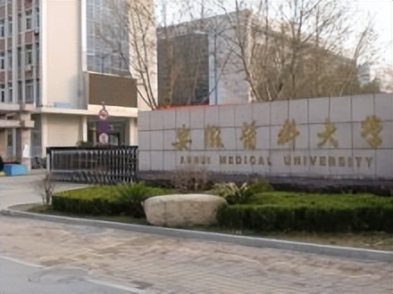 长三角医学教育联盟名师讲坛,长三角医学教育联盟在上海成立