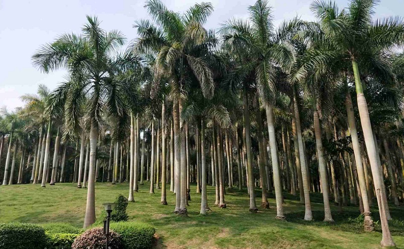 中国最美的十座山你去过了吗,中国最美的十大名山你爬过几座