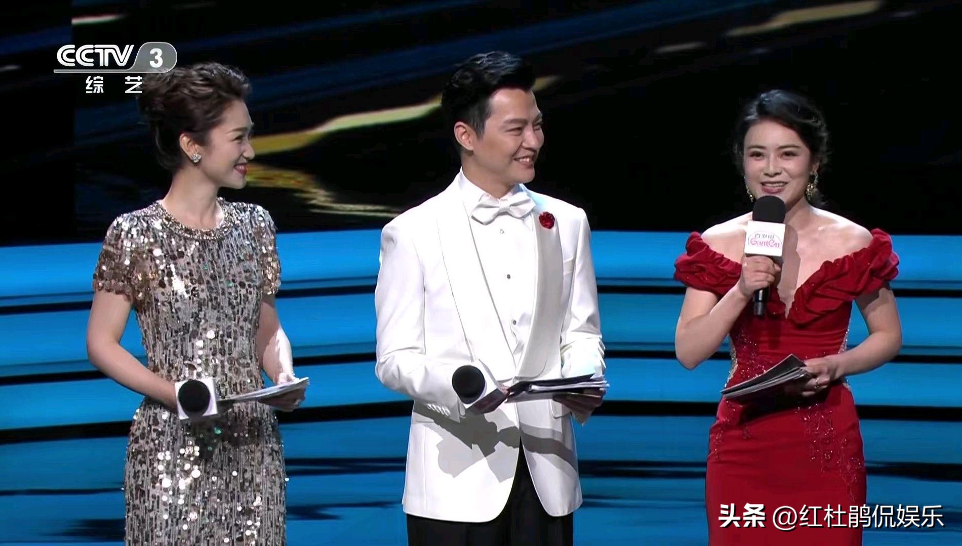 陈辰英文主持视频,陈辰张国立蓝羽