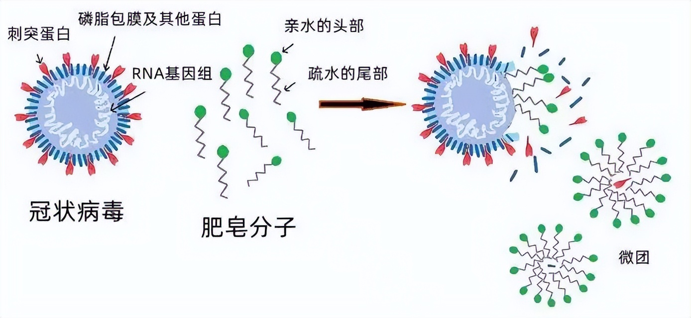 新冠病毒对孕妇的影响,孕妇感染新冠怎么治疗