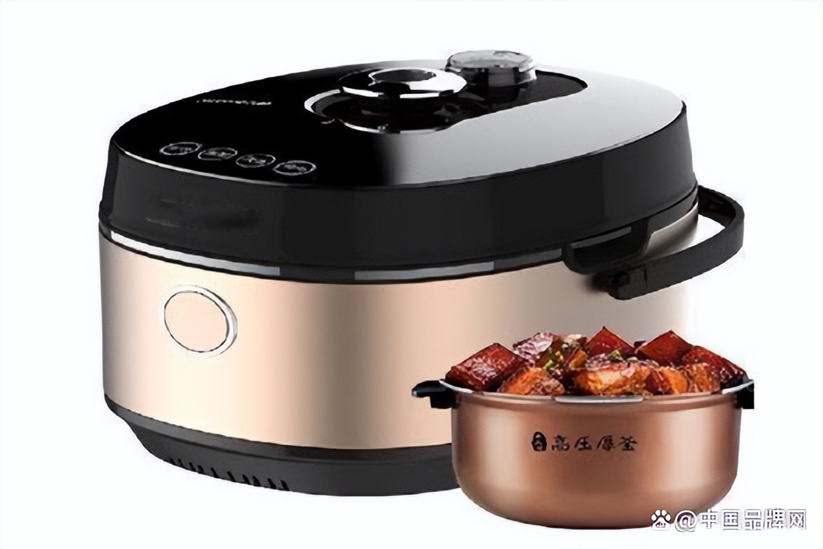哪个品牌电压力锅性价比高又实惠,哪个品牌的压力煲质量好