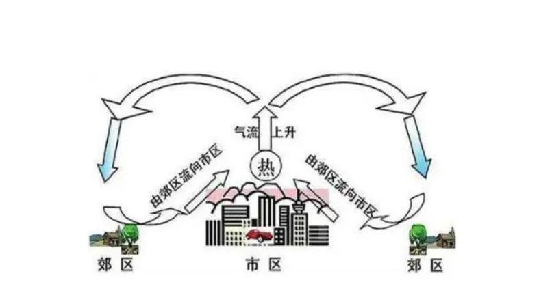 印度50度高温后又遇雷雨,印度50度高温印度人是怎么度过的