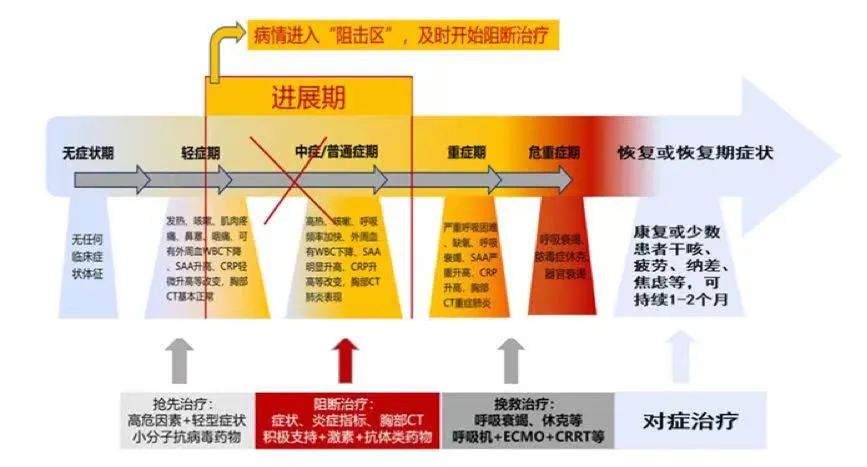 陈志海教授最新报告,陈志海坐诊时间