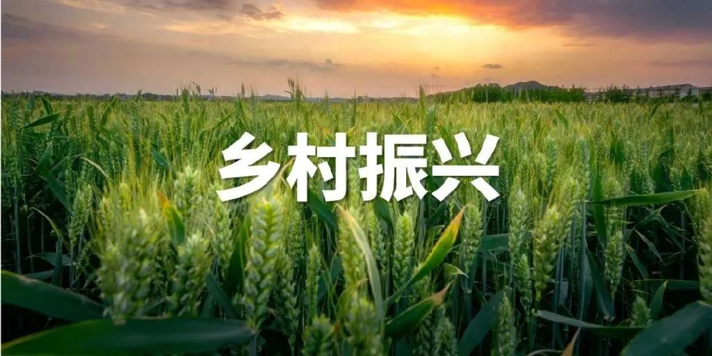 新零售生鲜农产品模式,生鲜农产品的模式分析