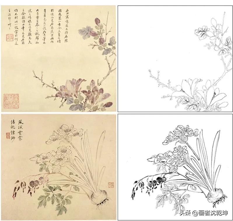 花鸟工笔白描100张简单,重彩工笔花鸟白描