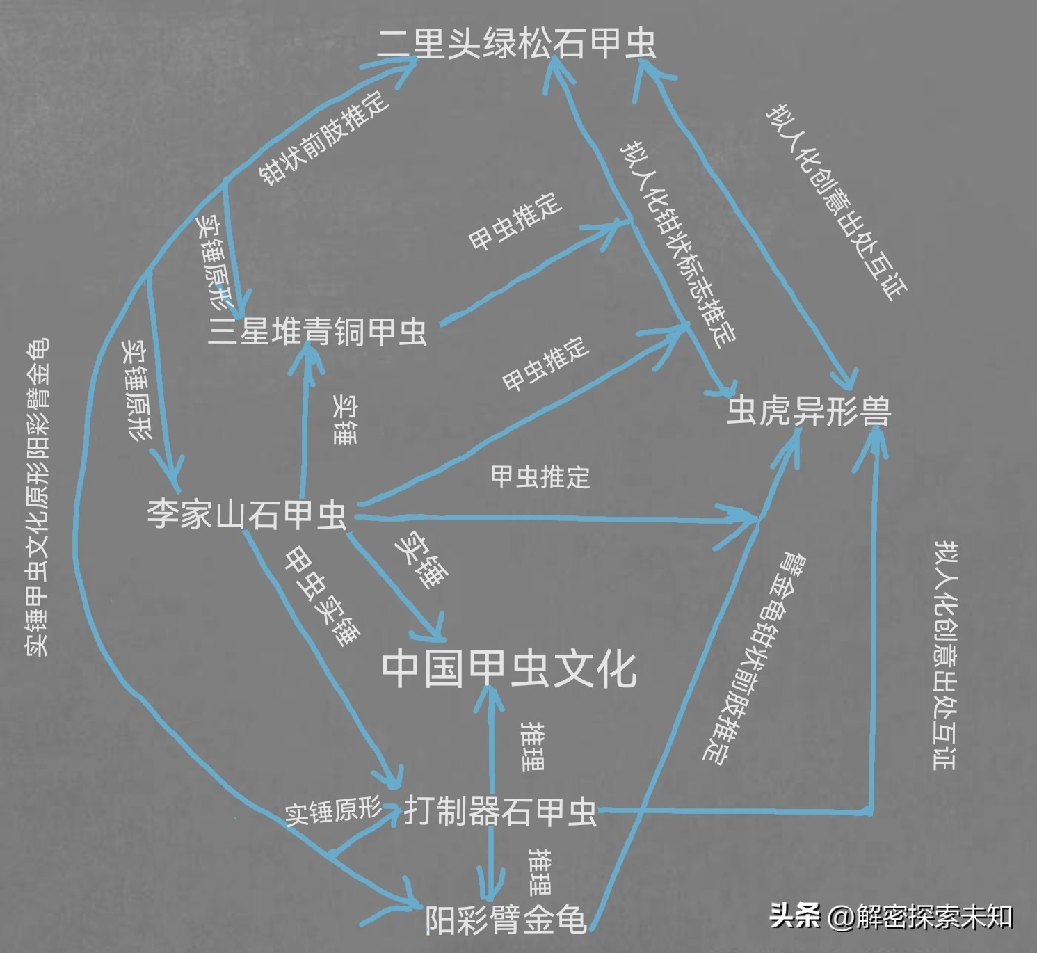 甲虫进化史讲解,甲虫进化史哪些虫真实存在