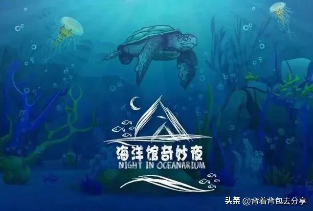 海昌海洋公园亲子攻略两天一夜,海立方星期天亲子公园和海洋公园